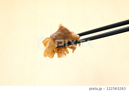 牛丼 牛丼 122563263