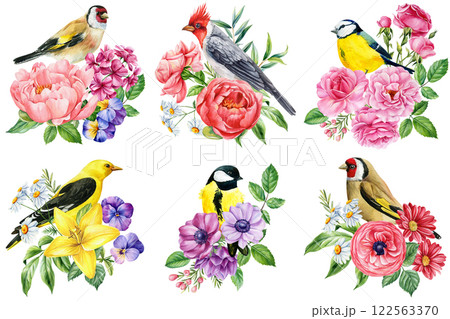 Birds, flowers illustration. watercolor goldfinch, cardinal, blue tit, oriole with peonies, roses, daisies and anemones Birds, flowers illustration. watercolor goldfinch, cardinal, blue tit, oriole with peonies, roses, daisies and anemones 122563370