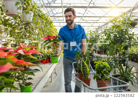 Positive adult florist arranging pots on display stand in gardening store 122563582