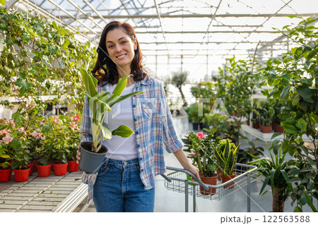 Woman shopping for potted plants in store buying floral decorations and seedlings in greenhouse 122563588