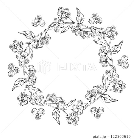 Blueberry blackberry cluster with plant leaves on branch, hand drawn in ink vector, ripe forest berry. Isolated wreath frame botanical illustration for restaurant, cafe menu, wedding, farmers market. 122563619
