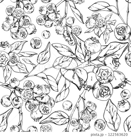 Blueberry blackberry with plant leaves, hand drawn in ink vector, forest berry in group clusters on branches. Seamless banner garland illustration, for restaurant, cafe menu, wedding, farmers market 122563620