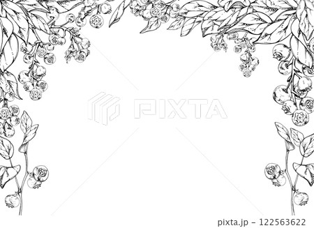 Blueberry blackberry cluster with plant leaves on branch, hand drawn in ink vector, ripe forest berry. Isolated corner frame botanical illustration for restaurant, cafe menu, wedding, farmers market 122563622