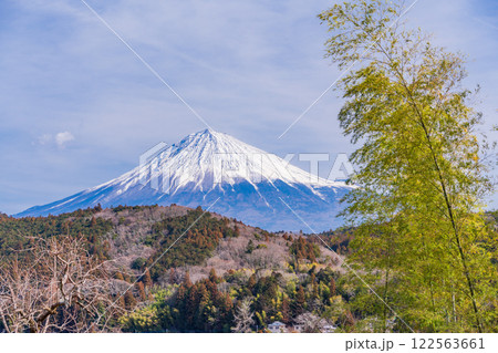【静岡県】富士宮・竹林の向こうに富士山 122563661