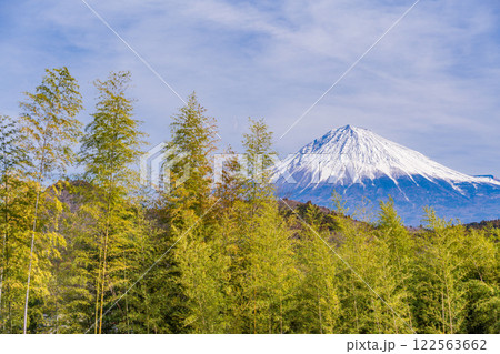 【静岡県】富士宮・竹林の向こうに富士山 122563662