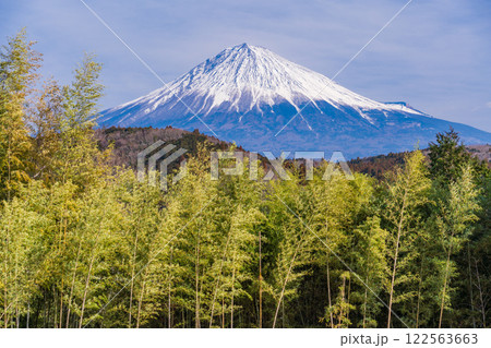 【静岡県】富士宮・竹林の向こうに富士山 【静岡県】富士宮・竹林の向こうに富士山 122563663