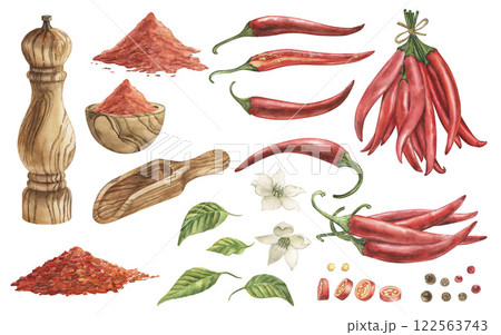 A set of illustrations with chili peppers, spices, leaves, flowers, wooden dishes. The images are hand-painted in watercolor in a botanical style in shades of red, brown, and green. For packaging A set of illustrations with chili peppers, spices, leaves, flowers, wooden dishes. The images are hand-painted in watercolor in a botanical style in shades of red, brown, and green. For packaging 122563743