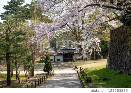 Kenroku-en. Kanazawa castle park. Hanami. Blossom pink flowers Sakuras Japan. 122563856