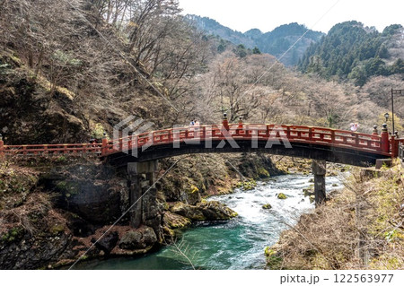 A beautiful bridge spans a river in a lush green forest A beautiful bridge spans a river in a lush green forest 122563977