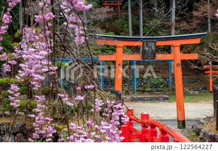 A torii gate is surrounded by vibrant pink flowers in Koyasan, Japan 122564227