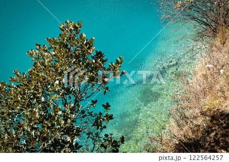 Blue Moon Lake over Lijiang with tree over pristine waters. Yunnan, China. 122564257