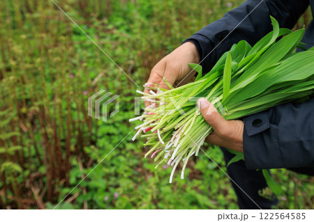 People picking wild herb in high altitude mountains, China People picking wild herb in high altitude mountains, China 122564585