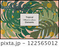Monstera leaves tropical exotic design element abstract texture background Monstera leaves tropical exotic design element abstract texture background 122565012