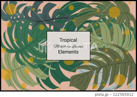 Monstera leaves tropical exotic design element abstract texture background 122565012