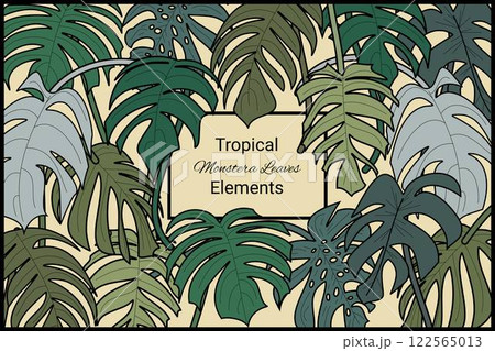 Leaves tropical exotic design element abstract texture aesthetic background Leaves tropical exotic design element abstract texture aesthetic background 122565013