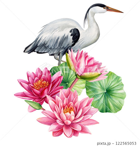 watercolor heron, lotus flowers, leaves. Elegant bird, serene nature scene, hand-painted botanical illustration isolated 122565053