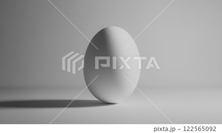 A white egg placed upright in the center of a plain white background 122565092