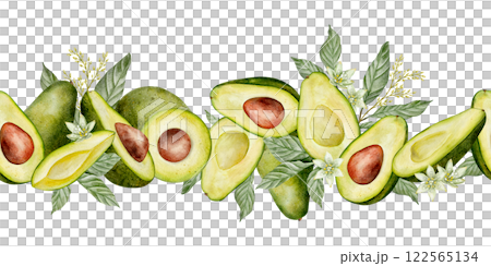 seamless border of Watercolor avocado illustration. Hand drawn botanical drawing. Half and slice fruit with leaves and seed. Green plant for food, cosmetic packaging design, card, invitation. 122565134
