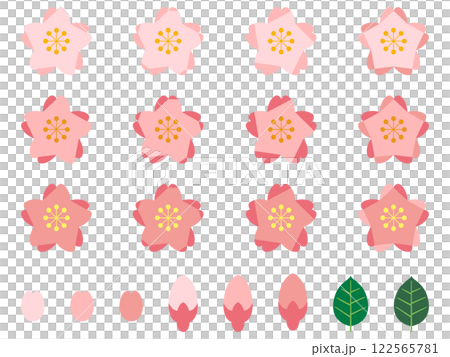 Set of colorful cherry blossoms 122565781
