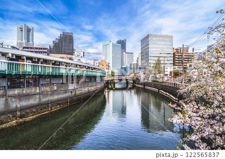 春の横浜・大岡川の都市風景 野毛都橋商店街と高層ビル群【神奈川県・横浜市】 春の横浜・大岡川の都市風景 野毛都橋商店街と高層ビル群【神奈川県・横浜市】 122565837