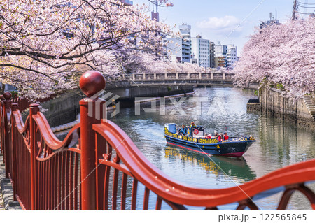 春の横浜の都市風景 桜咲く大岡川を行く観光船【神奈川県・横浜市】 春の横浜の都市風景 桜咲く大岡川を行く観光船【神奈川県・横浜市】 122565845