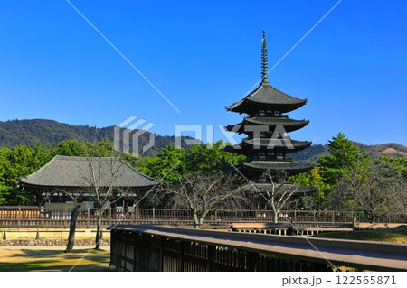 【奈良県】晴天の興福寺（東金堂と五重塔） 122565871