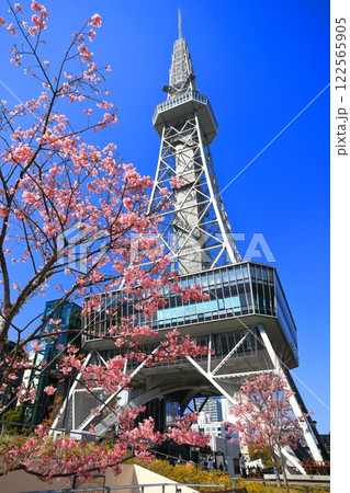 【愛知県】名古屋テレビ塔と河津桜 【愛知県】名古屋テレビ塔と河津桜 122565905
