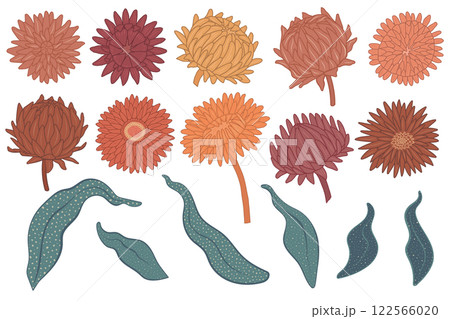 Monochrome vector flowers illustration set. Hand drawn outline with fill strawflower, chrysanthemum blooms and leaves with dotted texture isolated on white background. Modern elegant floral elements 122566020