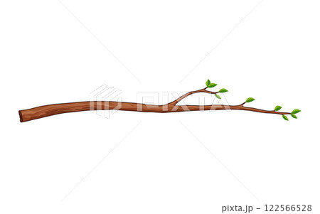 Tree branch. Leafy plants twig, fresh greenery. Deciduous bush sprout on white background. Vector isolated botanical decoration element Tree branch. Leafy plants twig, fresh greenery. Deciduous bush sprout on white background. Vector isolated botanical decoration element 122566528