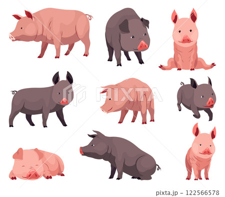 Pig set flat cartoon isolated on white background. Black and pink pigs vector illustration Pig set flat cartoon isolated on white background. Black and pink pigs vector illustration 122566578