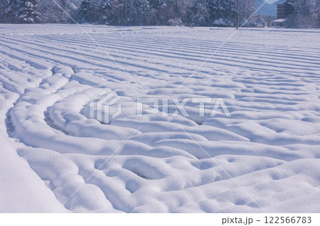 新雪で覆われた水田【長野県】 122566783