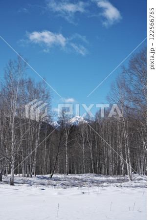 冬の北海道国道273号線　白樺の原生林から雪山を望む 122566785
