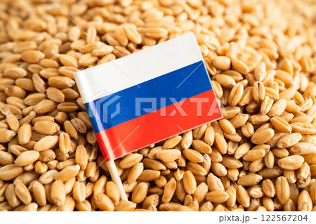 Russia flag with Wheat and grains ears agricultural, organic farm. 122567204