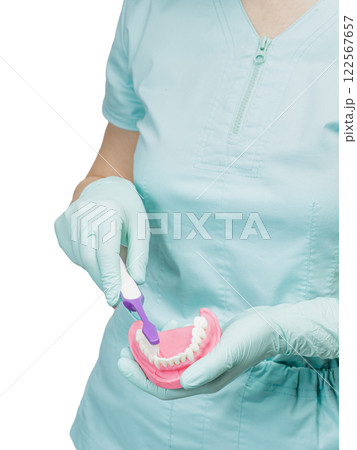 Dentist with a toothbrush and a layout of the human jaw. Dentist with a toothbrush and a layout of the human jaw. 122567657