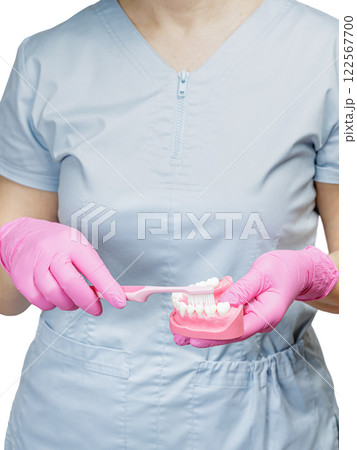 Dentist with a toothbrush and a layout of the human jaw. 122567700