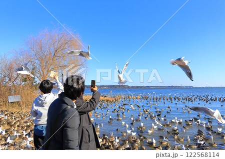 茨城県潮来市 北浦湖畔・白鳥の里 茨城県潮来市 北浦湖畔・白鳥の里 122568114
