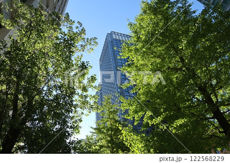 東京都千代田区丸の内の風景 122568229
