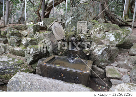 春日大社　奈良県　奈良市 春日野町 122568250