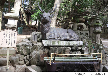 春日大社 奈良県 奈良市 春日野町 春日大社 奈良県 奈良市 春日野町 122568271