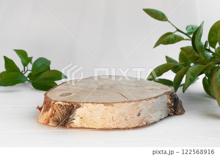 A pedestal made of birch sawn wood for advertising a product with twigs and leaves. Minimalistic creative composite background for the presentation of cosmetics or products. Front view 122568916
