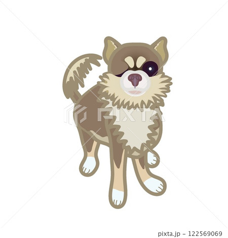 モカ茶のチワワのイラスト モカ茶のチワワのイラスト 122569069