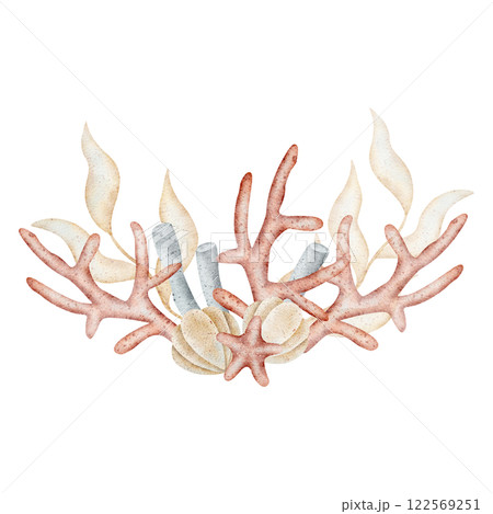 Watercolor seaweed, corals, tubes, shells. Marine illustrations are drawn by hand. Composition isolated on white background for design of postcards, posters, invitations, dishes, clothes 122569251