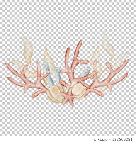 Watercolor seaweed, corals, tubes, shells. Marine illustrations are drawn by hand. Composition isolated on white background for design of postcards, posters, invitations, dishes, clothes 122569251