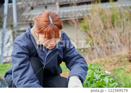 畑作業をする女性 田舎暮らし 家庭菜園 畑作業をする女性 田舎暮らし 家庭菜園 122569579