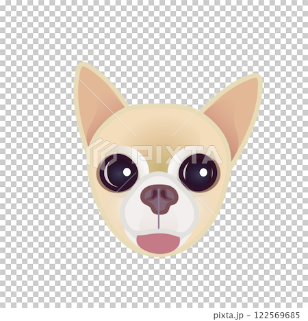 米色光滑的吉娃娃臉圖解 122569685