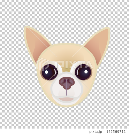 米色光滑的吉娃娃臉圖解 米色光滑的吉娃娃臉圖解 122569711