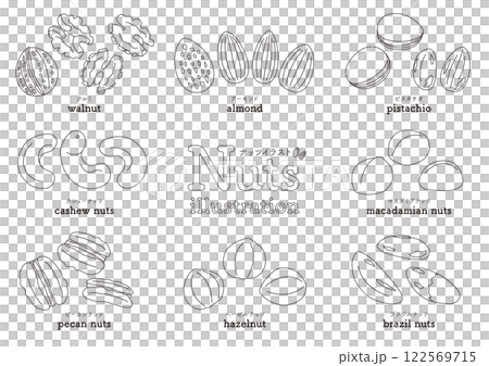Set of illustrations of nuts such as almonds and walnuts_line drawing Set of illustrations of nuts such as almonds and walnuts_line drawing 122569715