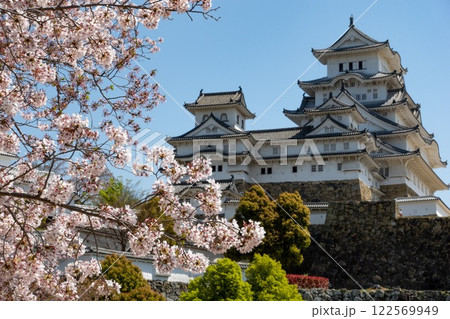 Himeji Castle with blossom pink Sakura tree and flowers during Hanami. Japan 122569949