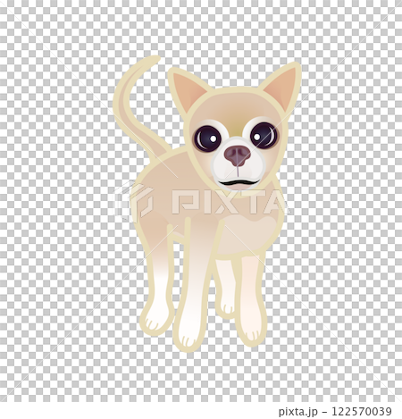 米色光滑的吉娃娃插圖 122570039