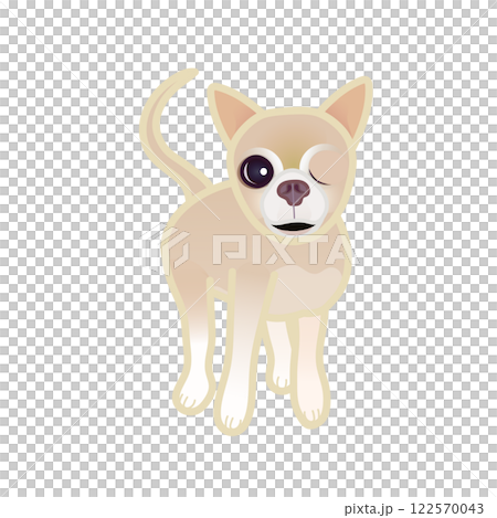 米色光滑的吉娃娃插圖 122570043